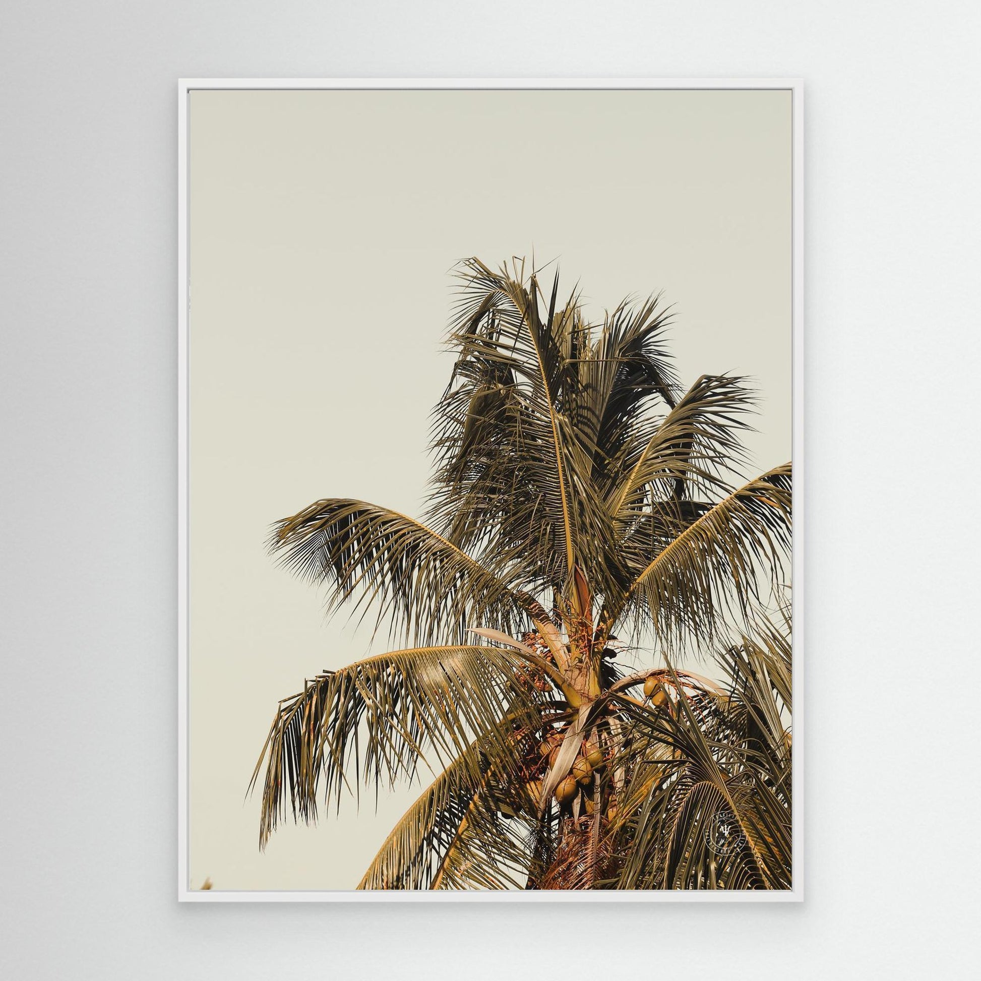 Boho Style Coconut Tree