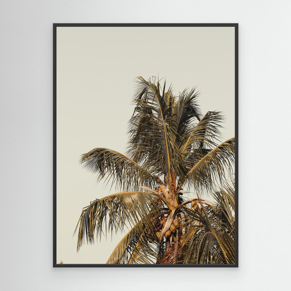 Boho Style Coconut Tree