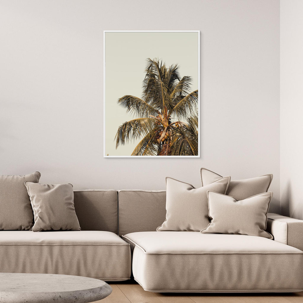Boho Style Coconut Tree