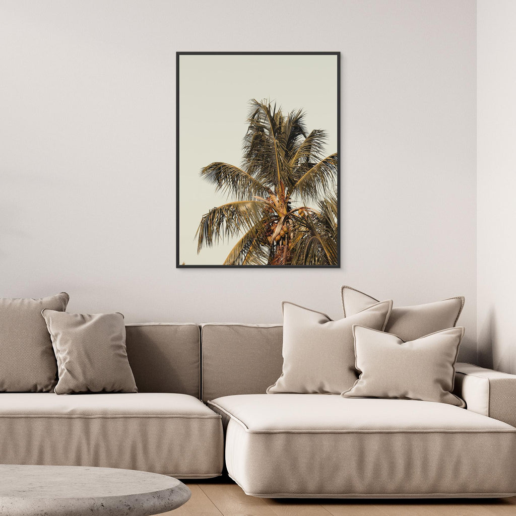 Boho Style Coconut Tree